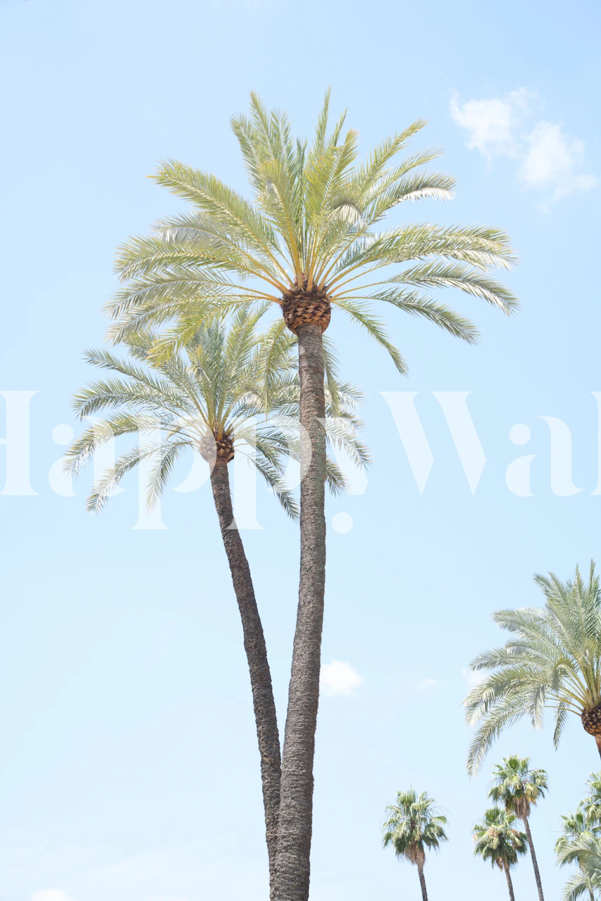 A tall palm tree mural with lush green foliage against a clear blue sky.