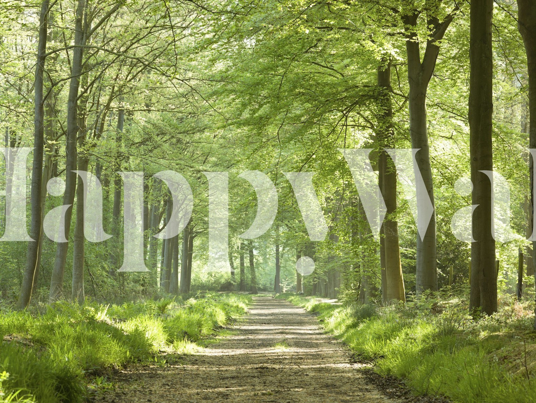 Papel pintado Spring Path en un entorno de habitación