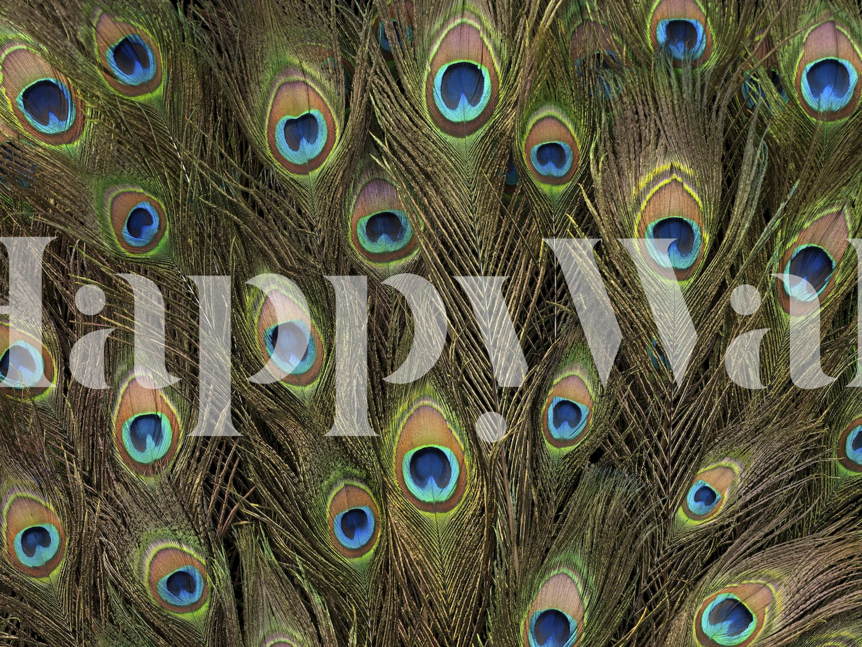 Peacock feather pattern in green and blue tones wallpaper