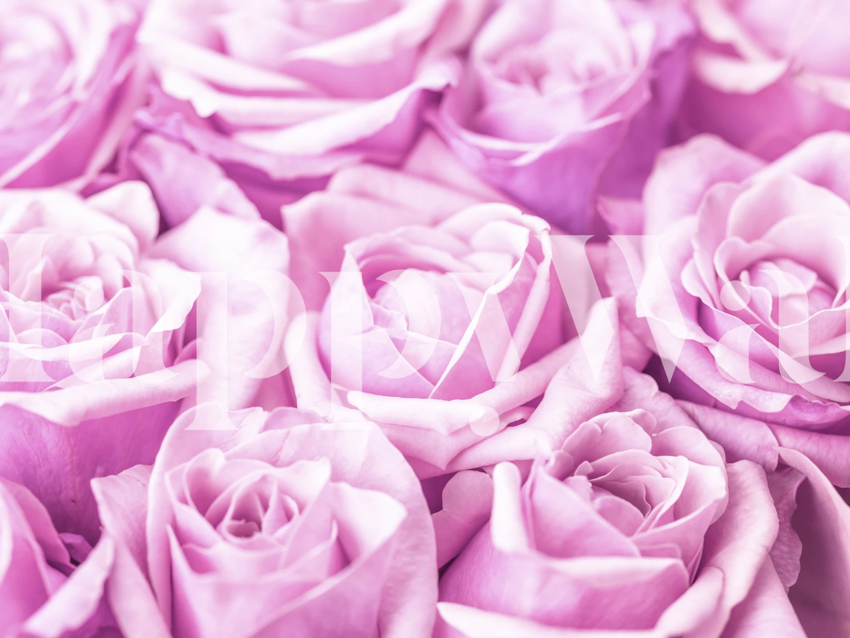 Papier peint Rose Bunch dans un aménagement de pièce