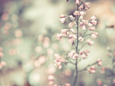 Τοιχογραφία