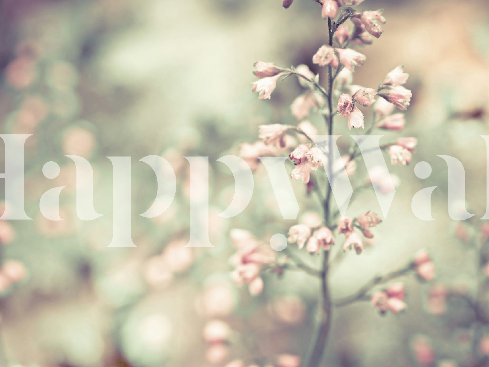 Delicate pink flowers on soft green backdrop floral wallpaper