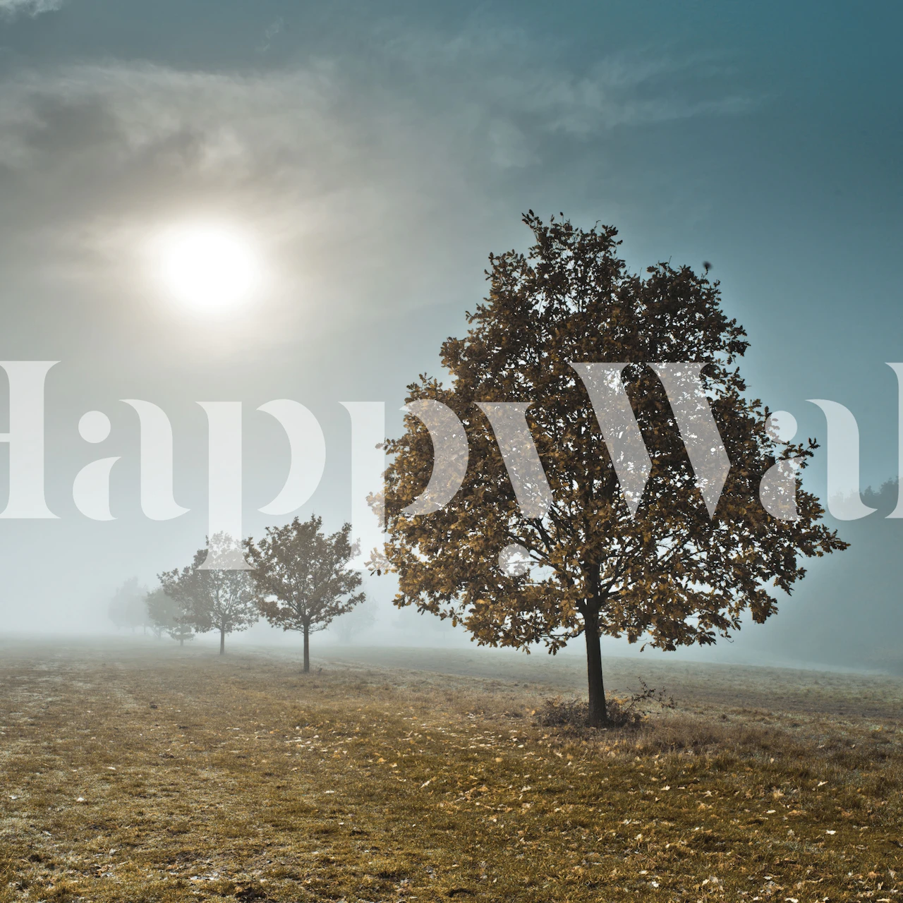 Misty trees wallpaper in a room