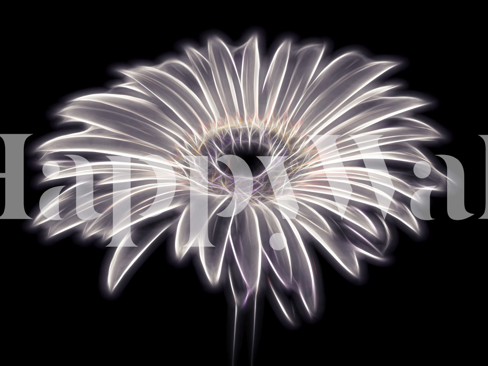 Design de papier peint Electric Gerbera dans une chambre
