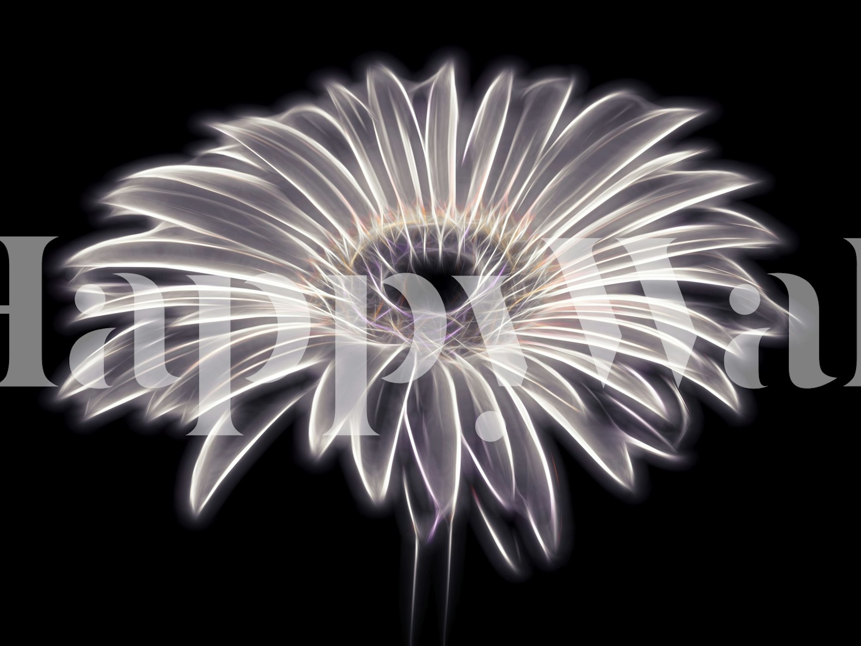 Electric Gerbera wallpaperontwerp in een kamer