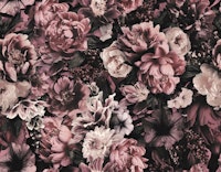 Floral Baroque Opulence Blush Pink tapeta