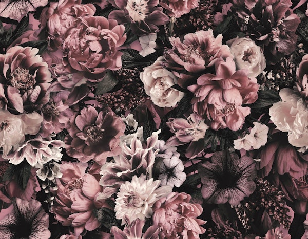 Floral Baroque Opulence Blush Pink