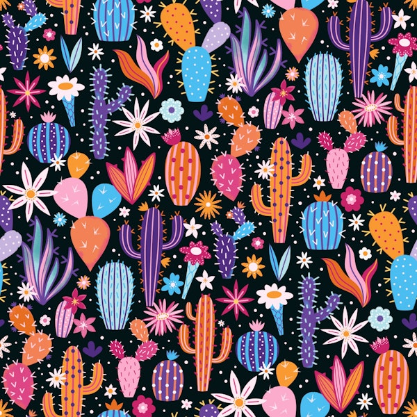 Magical Cactus Garden