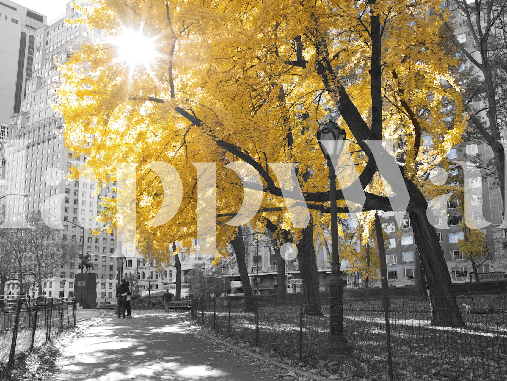 Yellow autumn leaves with black and white buildings wallpaper