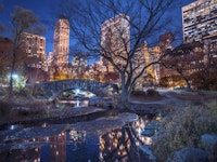 Central Park at Night tapeta