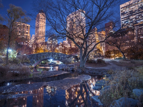 Central Park at Night