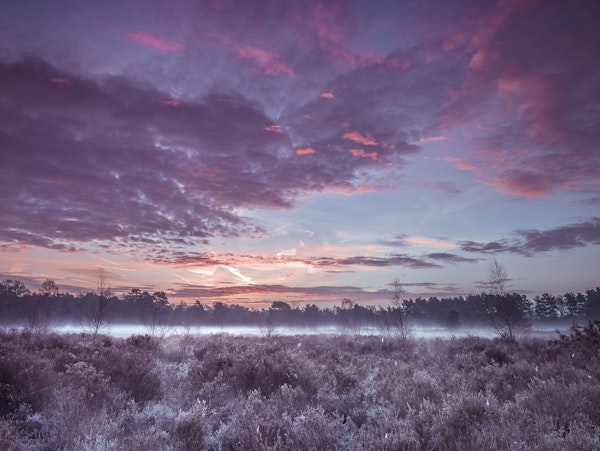 Meadow under cloudscape