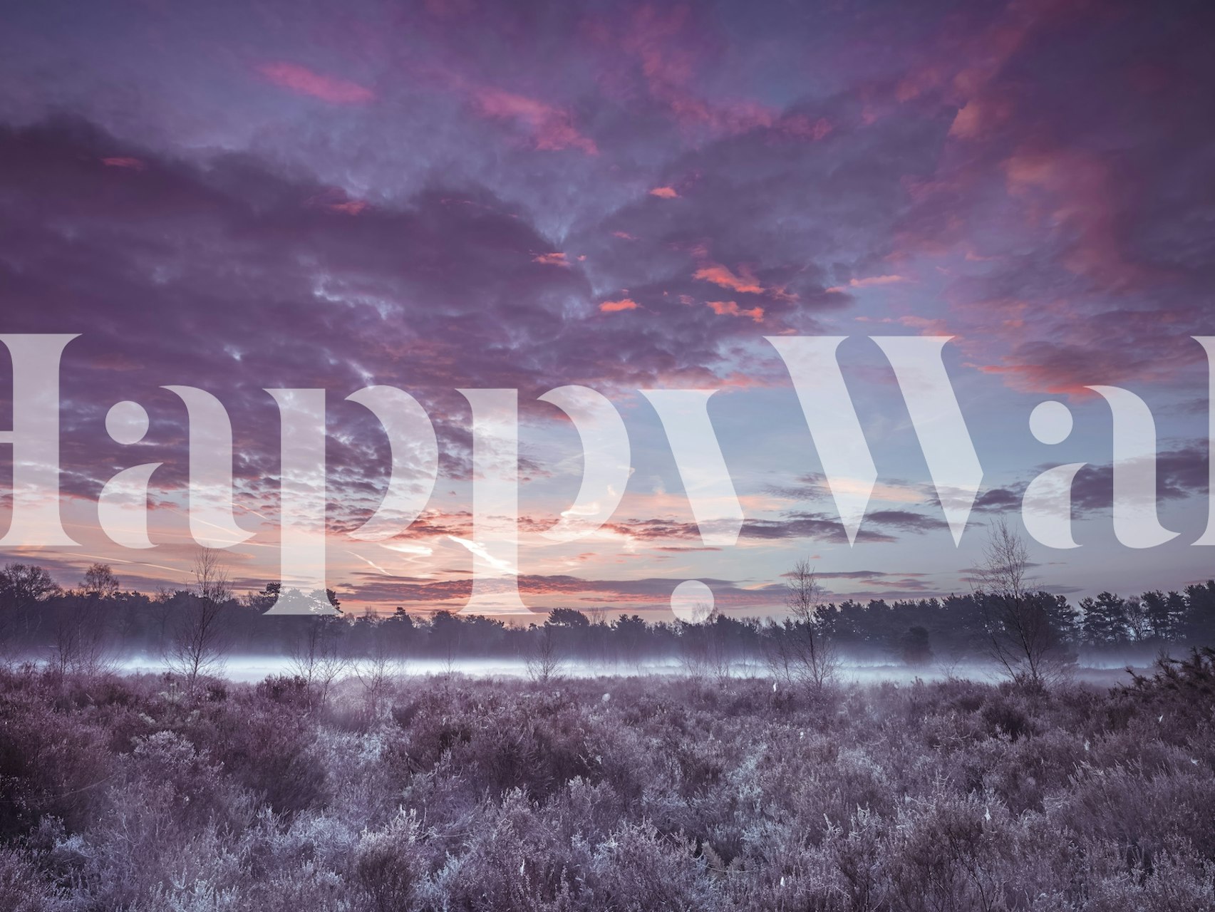 Meadow with ethereal cloudscape wall mural in pastel colors