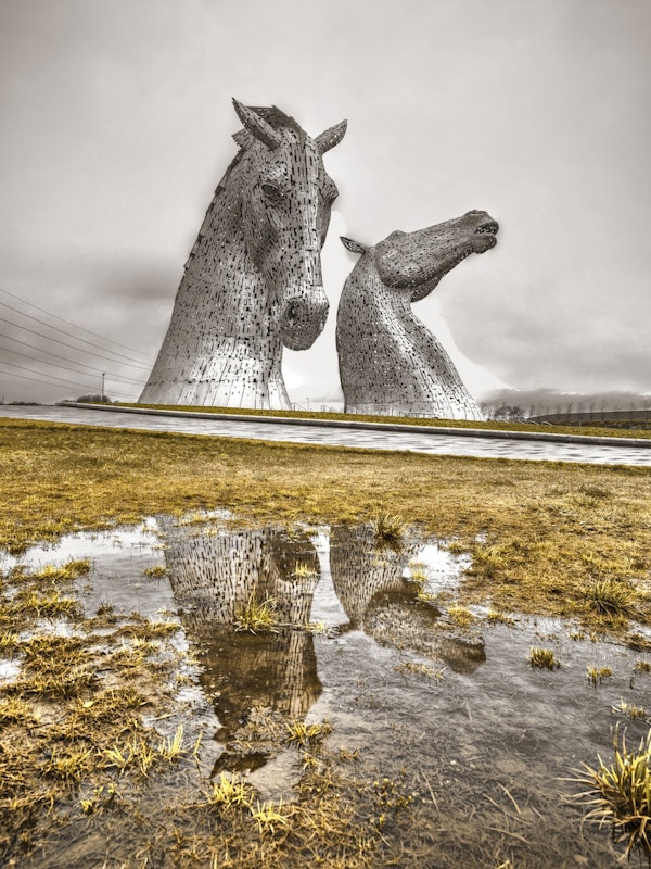 The Kelpies Horses