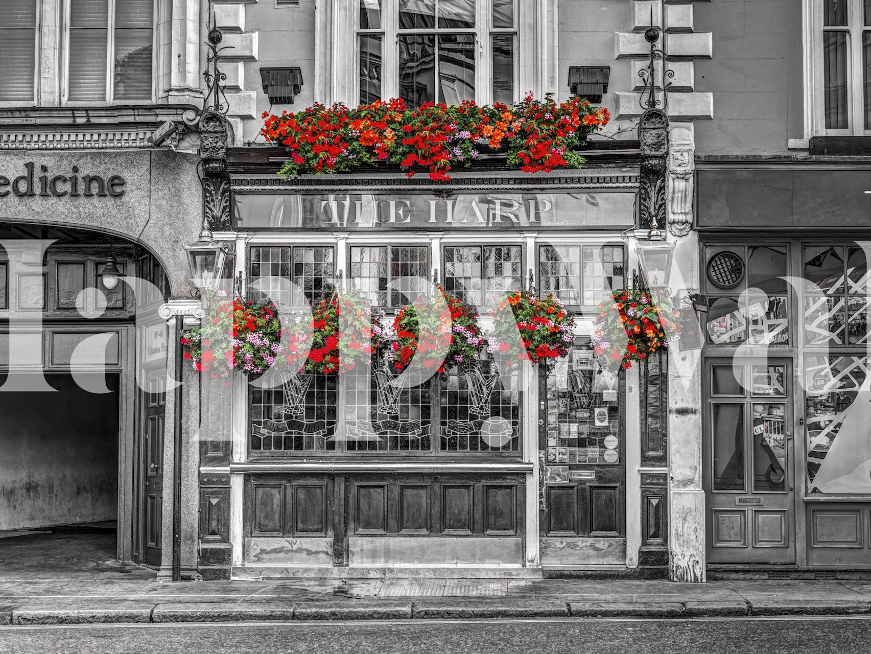 Klassische schwarz-weiße britische Pub-Fassade mit leuchtend roten Blumen, Wandgemälde
