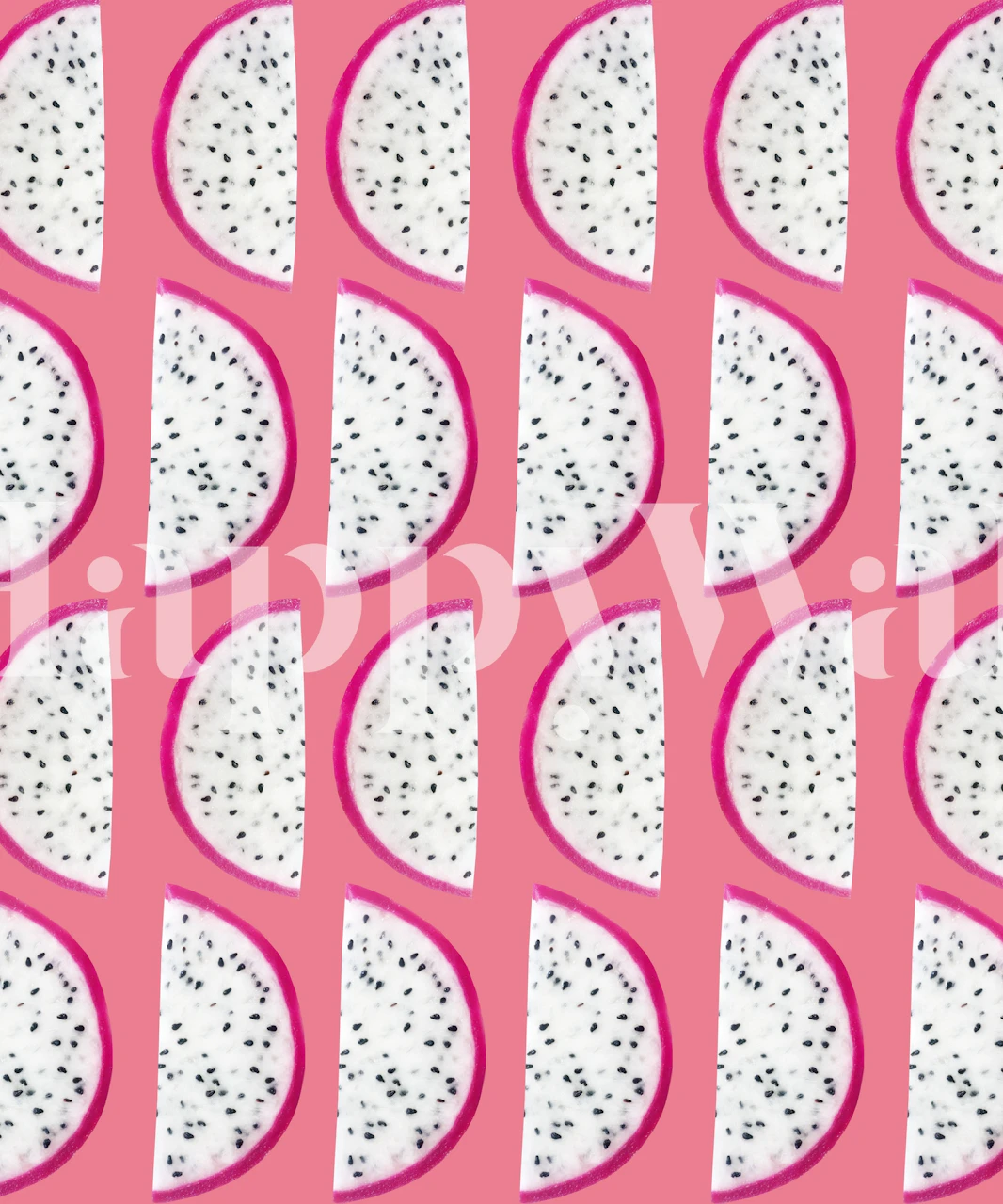 Colorful dragon fruit wallpaper in a room