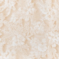 Delicate Flowers in Peach tapety