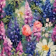 Summer Lupin