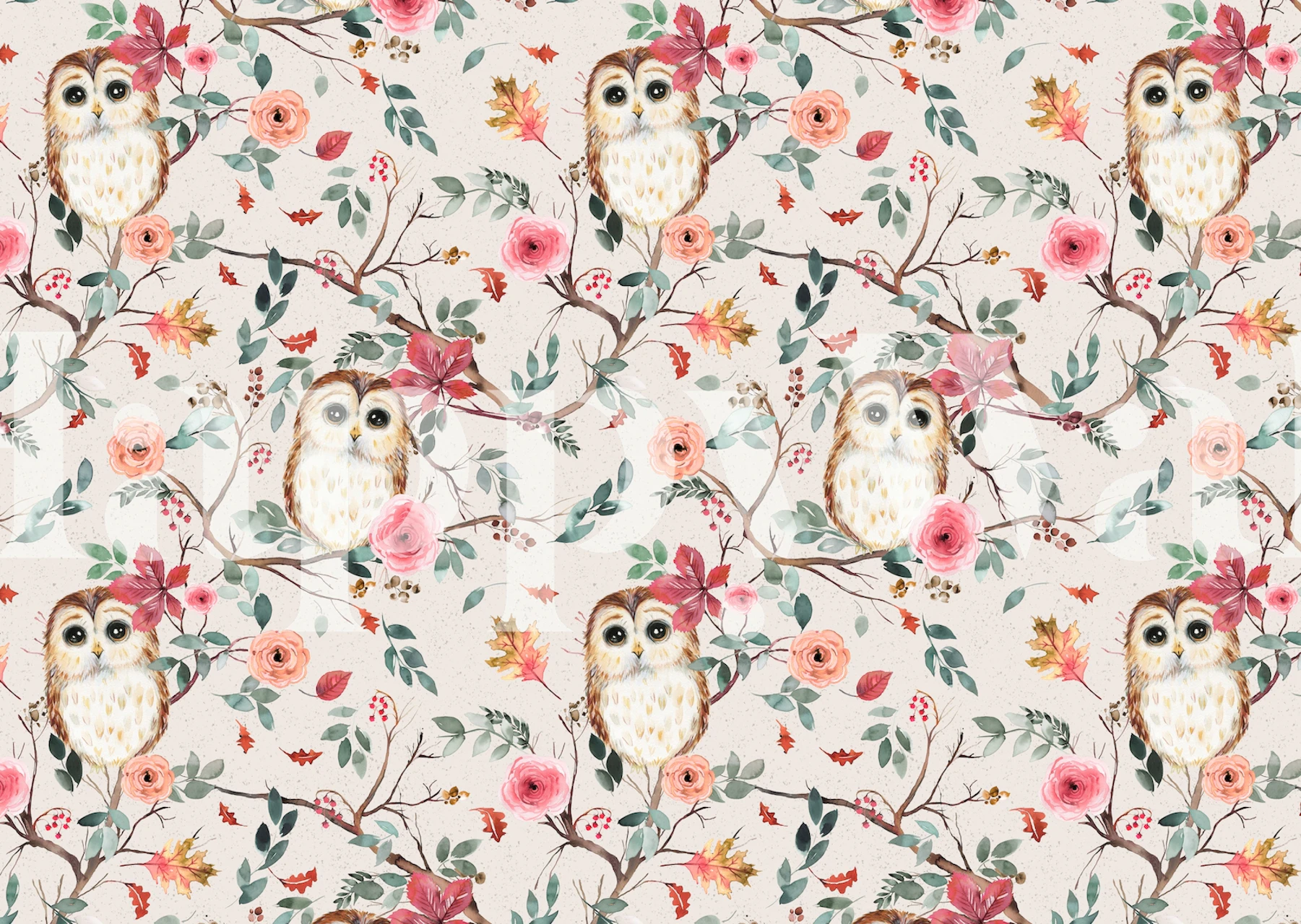 Tapeta Cute Owls s cvijećem i granama