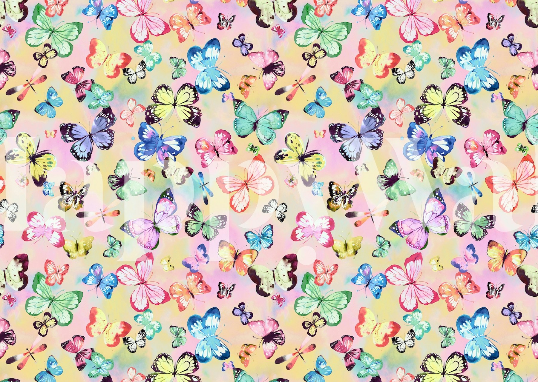 Colorful butterflies in pastel shades on a light background wallpaper