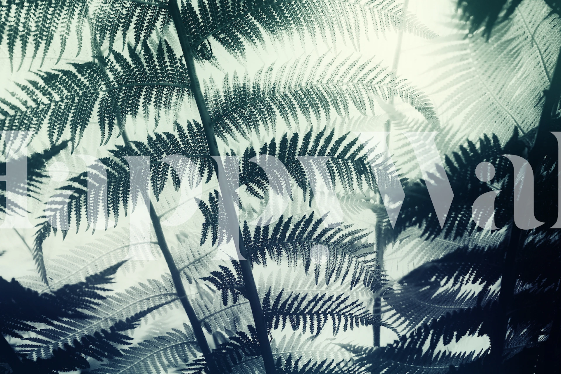 Illuminated fern leaves wallpaper with lush green foliage