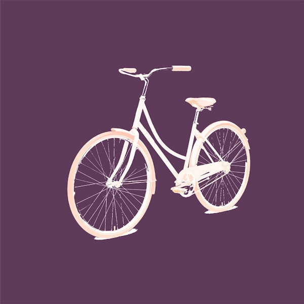 Plum solid bicycle