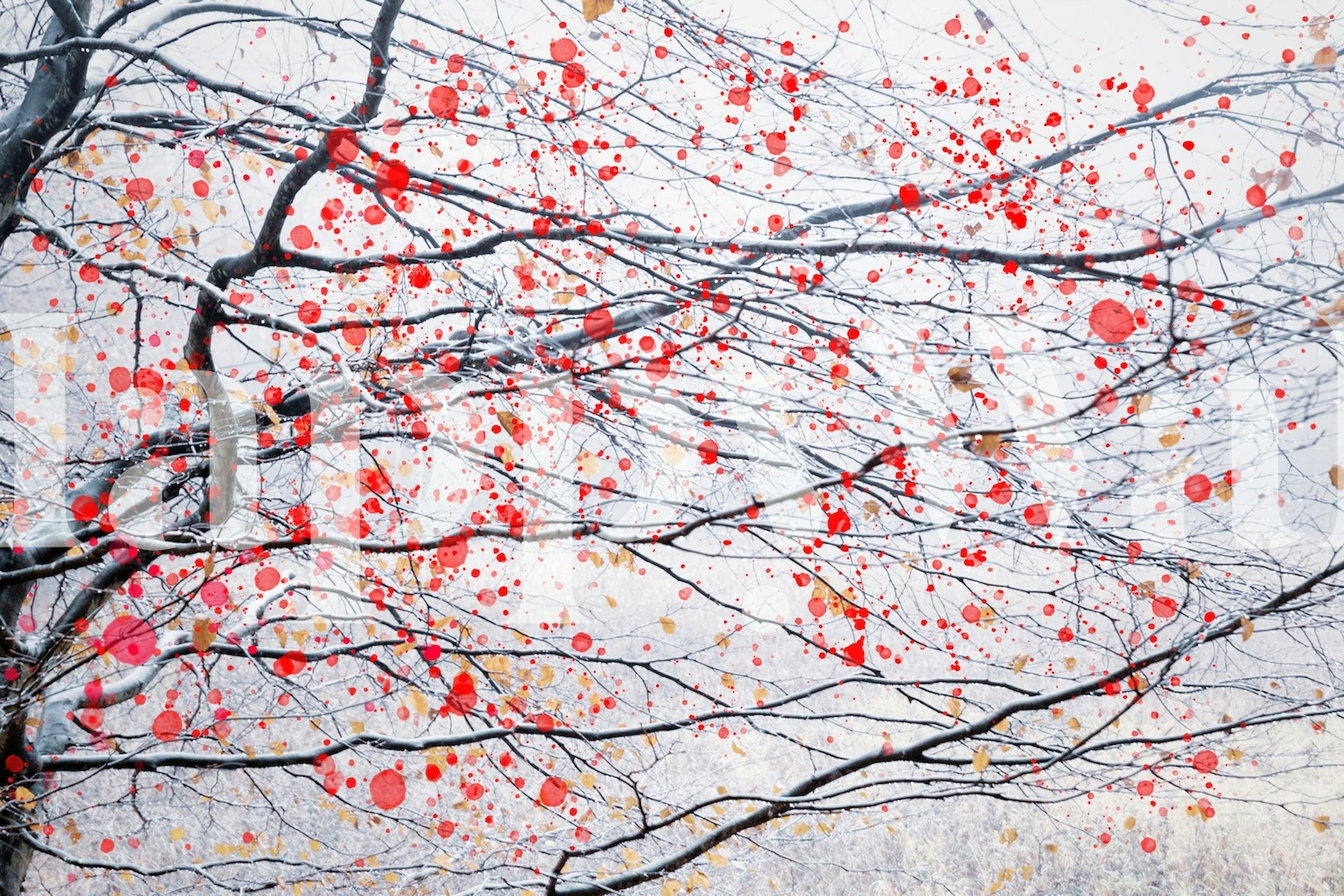 Tapeta Fire Blossom Tree 6 v pokoji