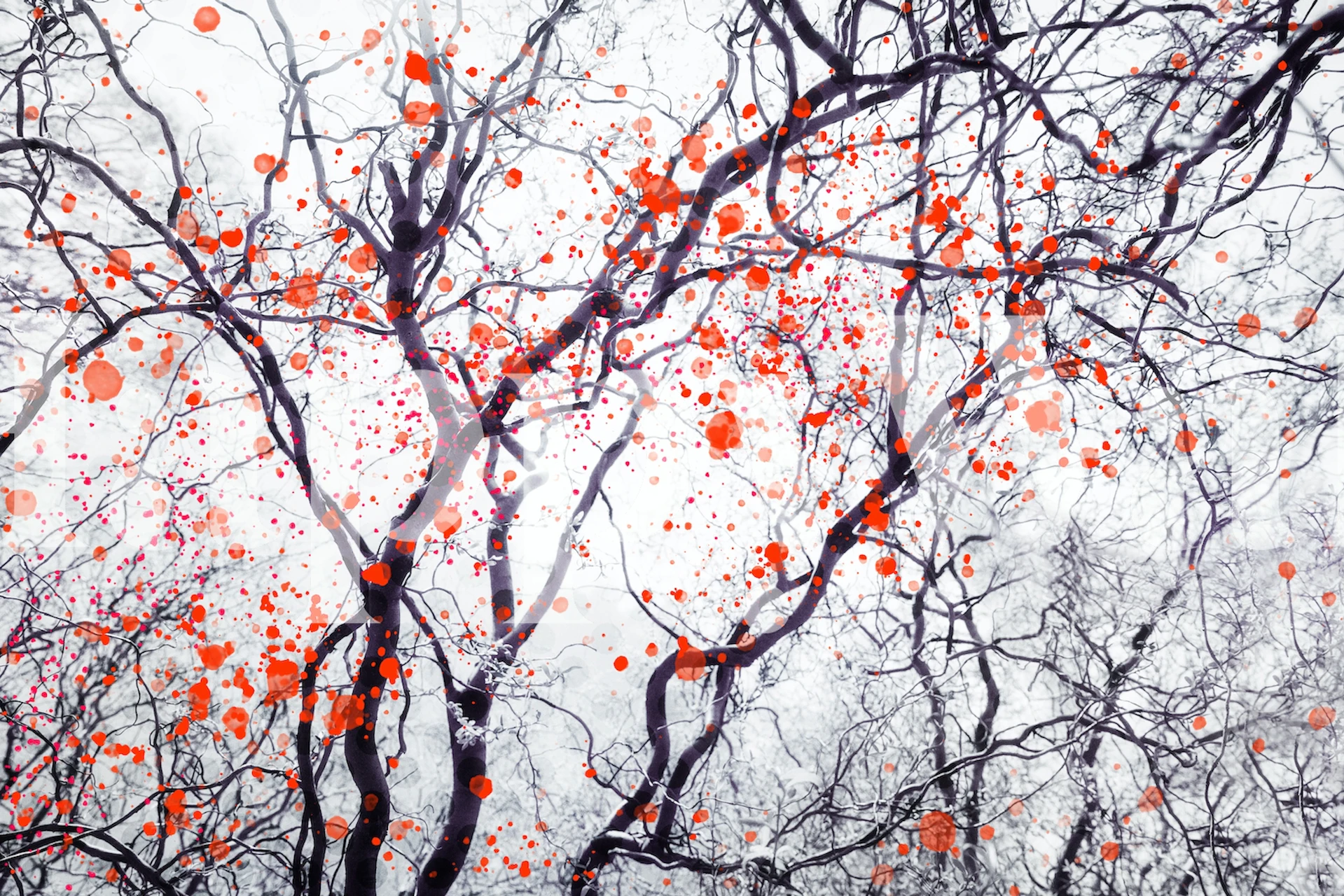 Fire Blossom Tree 4 dizajn tapeta