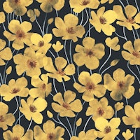 Wild Buttercups ταπετσαρία