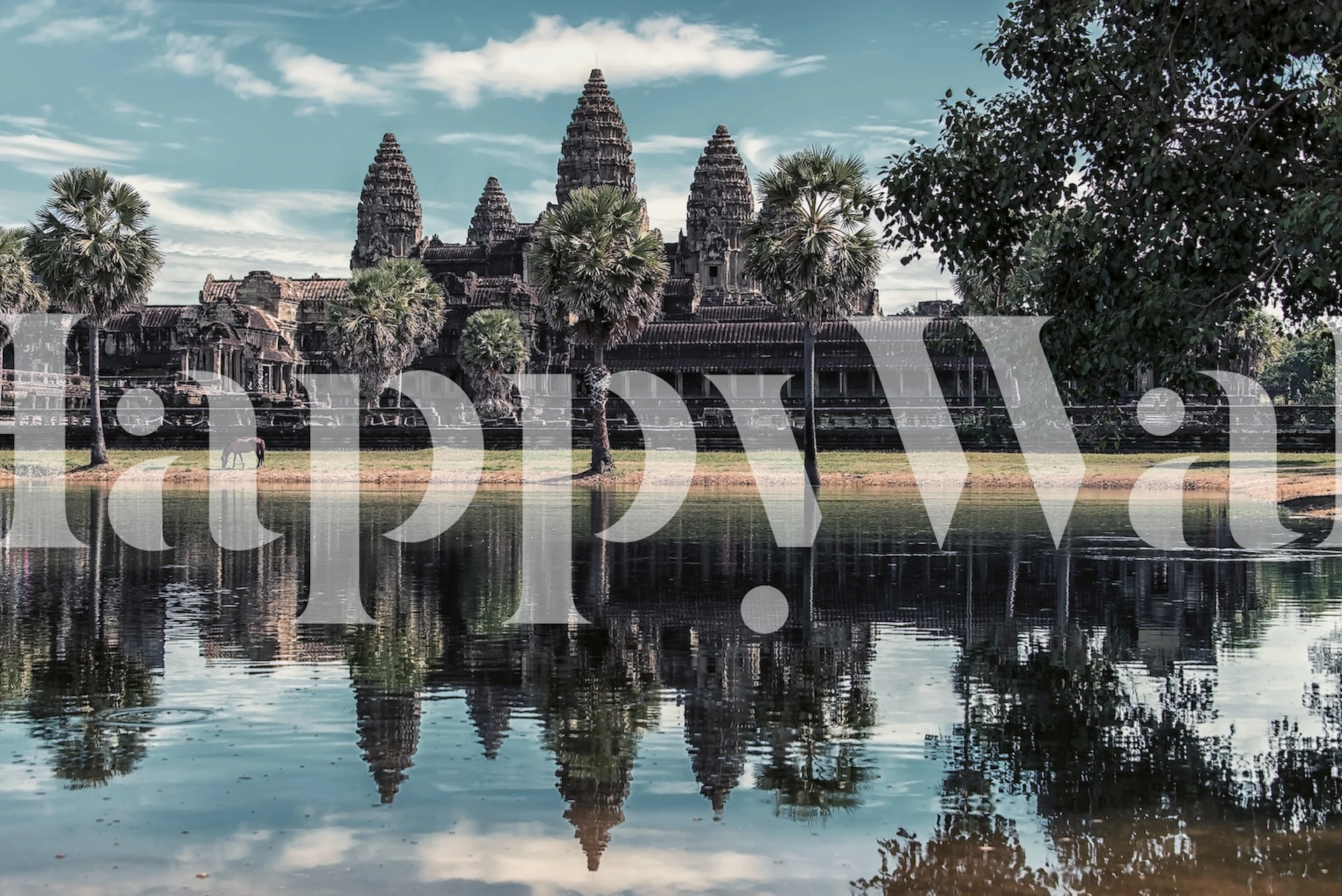 Carta da parati Angkor Wat esposta in una stanza