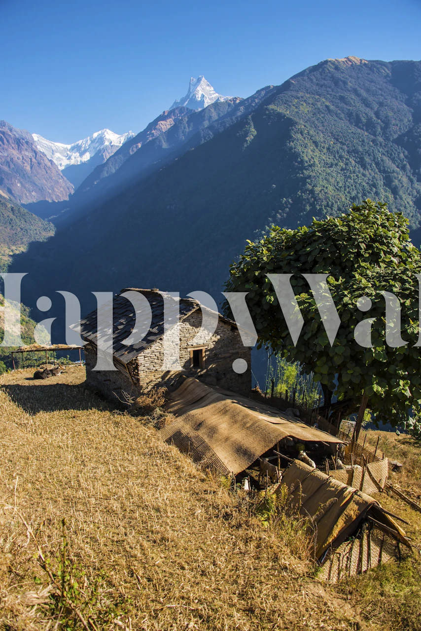 Tradycyjne kamienne domy z tarasowymi polami w drodze do Annapurny z ośnieżonymi górami w tle.