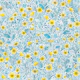 Buttercups, yellow, blue and white