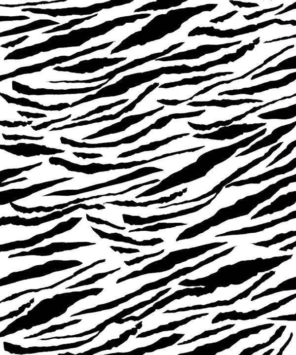 Tiger Animal Print Glam 3