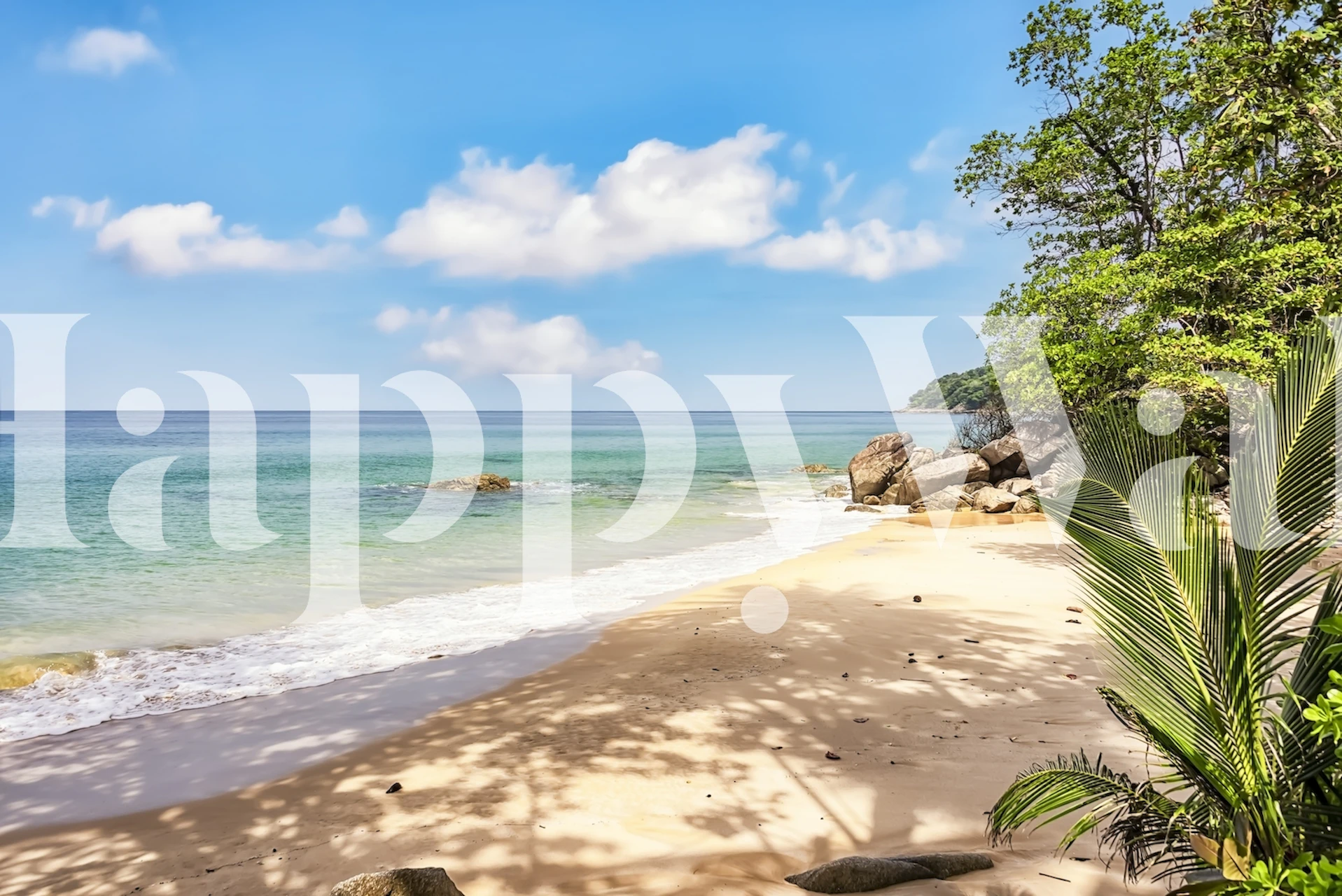 Phuket Island beach wallpaper in a room