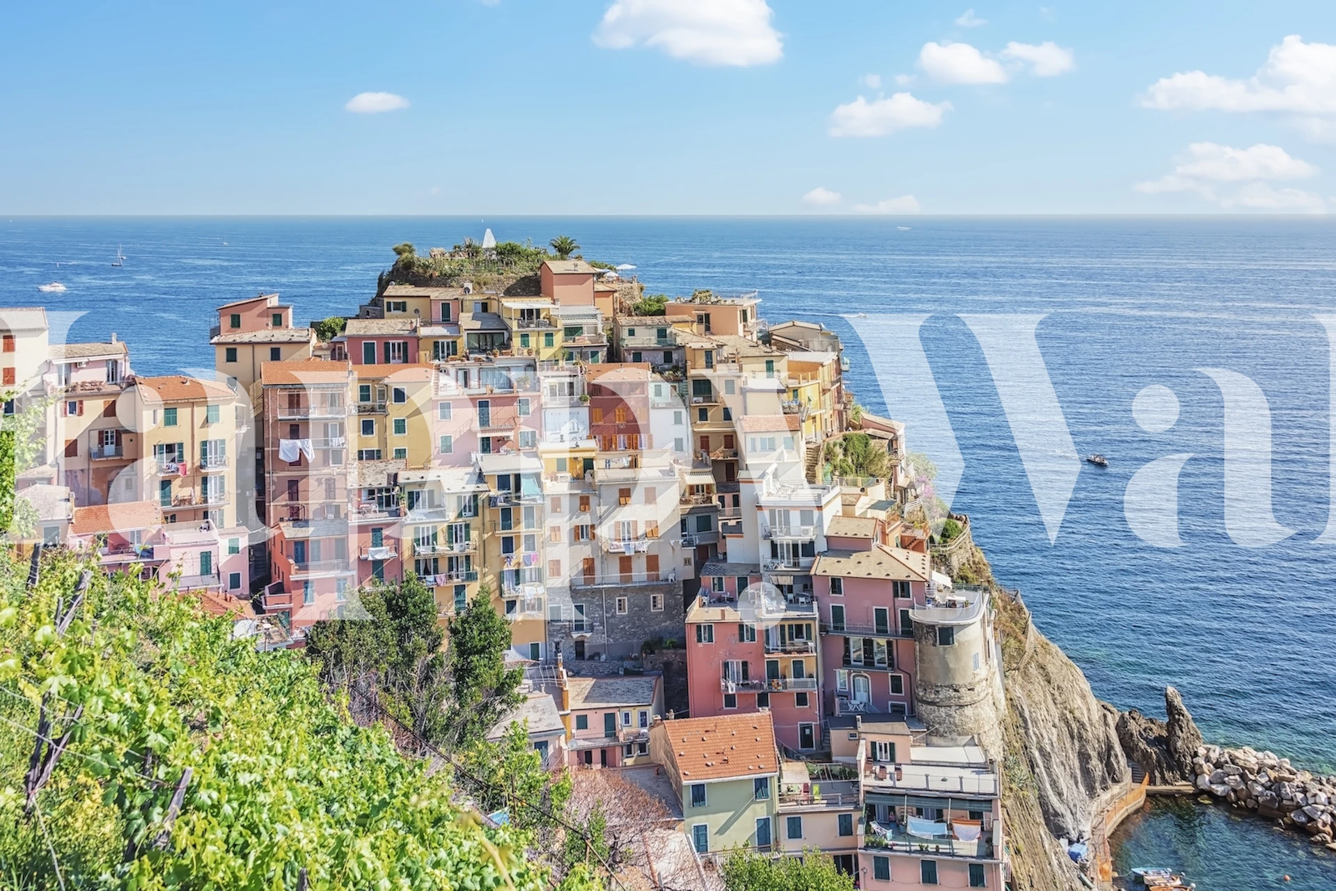 Manarola Cinque Terre wall mural with pastel houses and Mediterranean sea