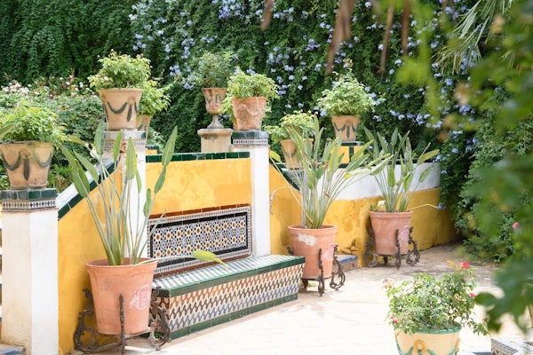 Casa de Pilatos Garden 1