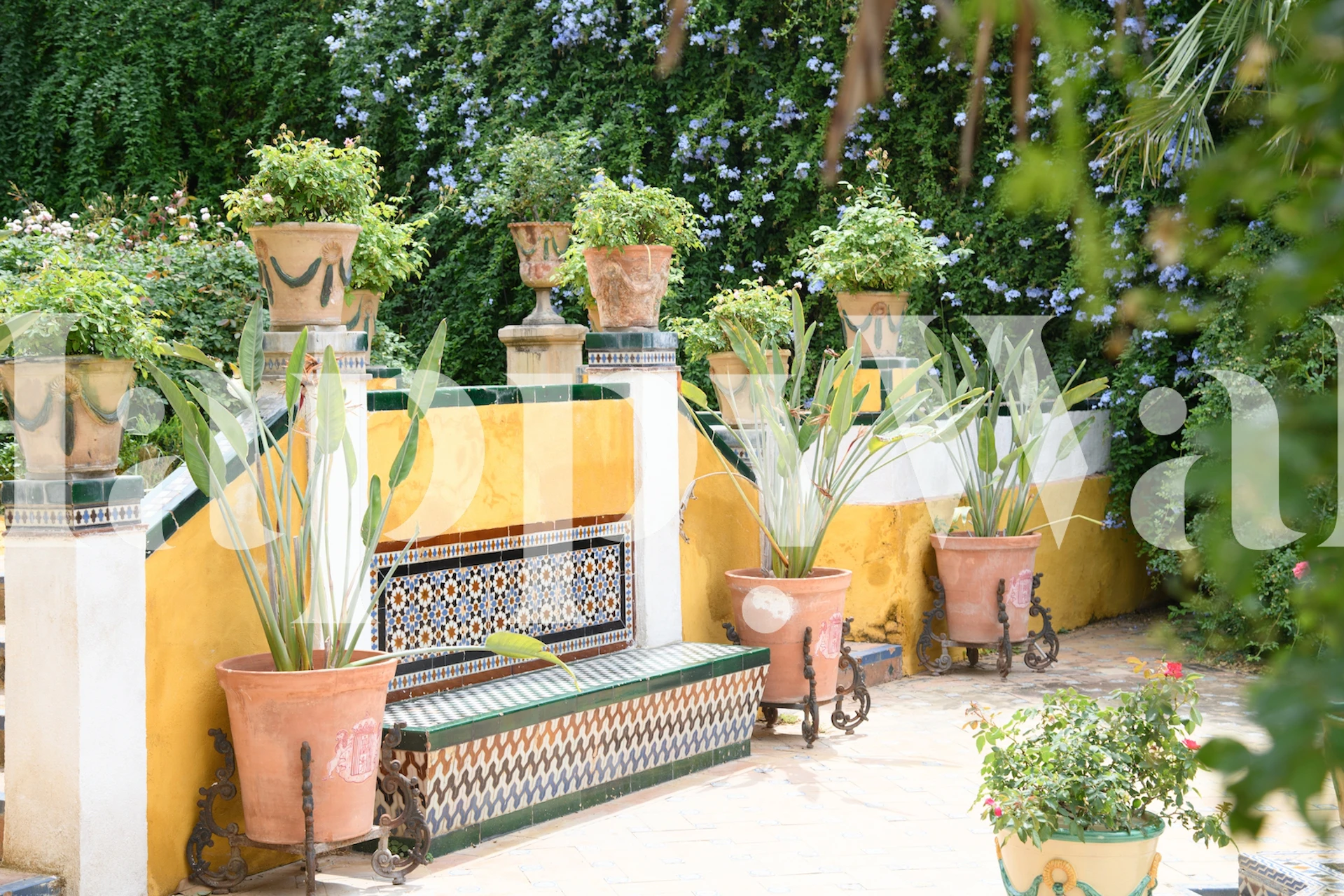 Fototapeta Casa de Pilatos Garden zobrazující klidné středomořské nádvoří s bujnými rostlinami a žlutými zdmi.