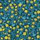 Buttercups, yellow and blue