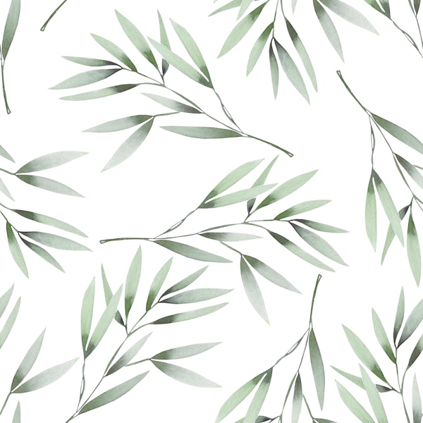 Green olive branches