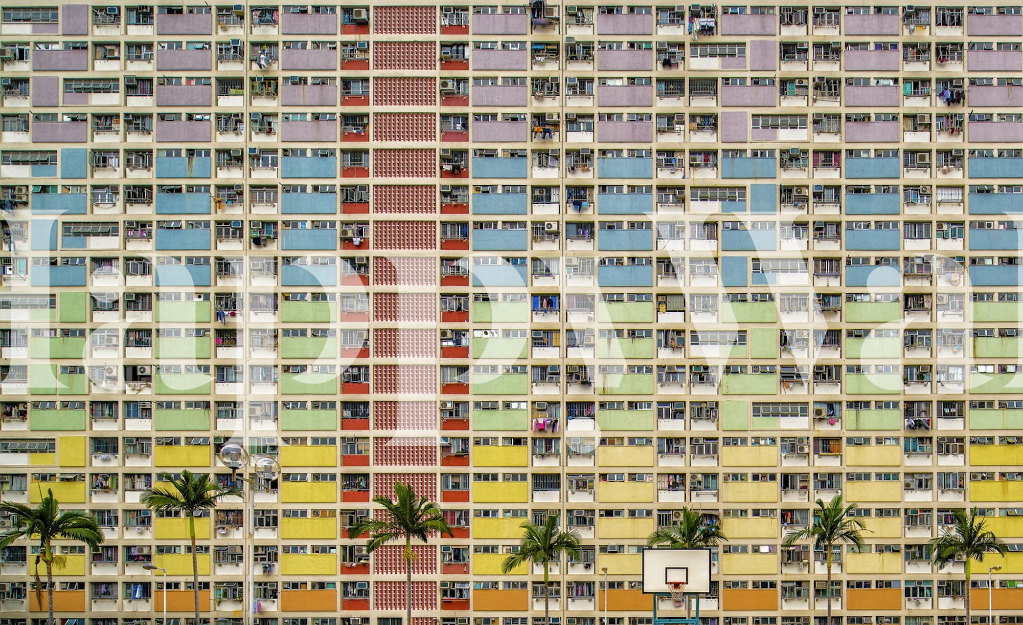 Equalizer wallpaper design in vibrant colors