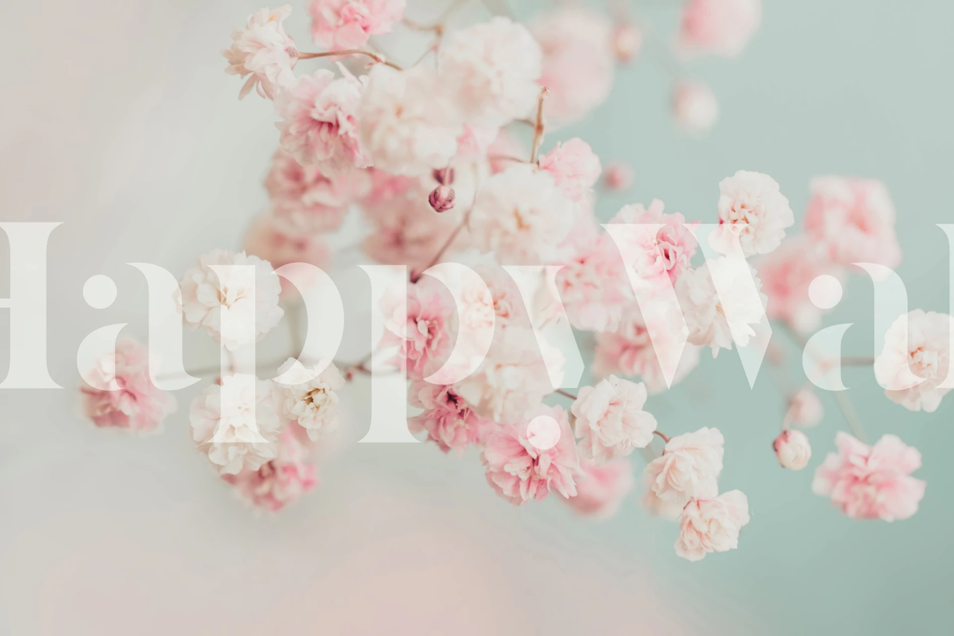 Pastel Pink ja White flowers tapettisuunnittelu