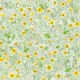Buttercups on white