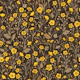 Buttercups wildflowers yellow and brown