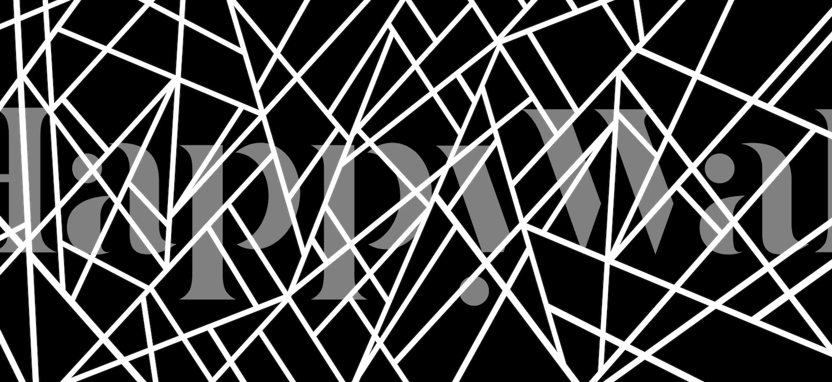 Geometric patterns in black and white wallpaper