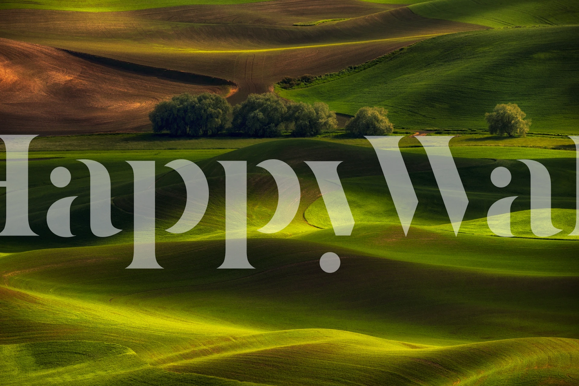 Spring landscape wallpaper in a stylish room