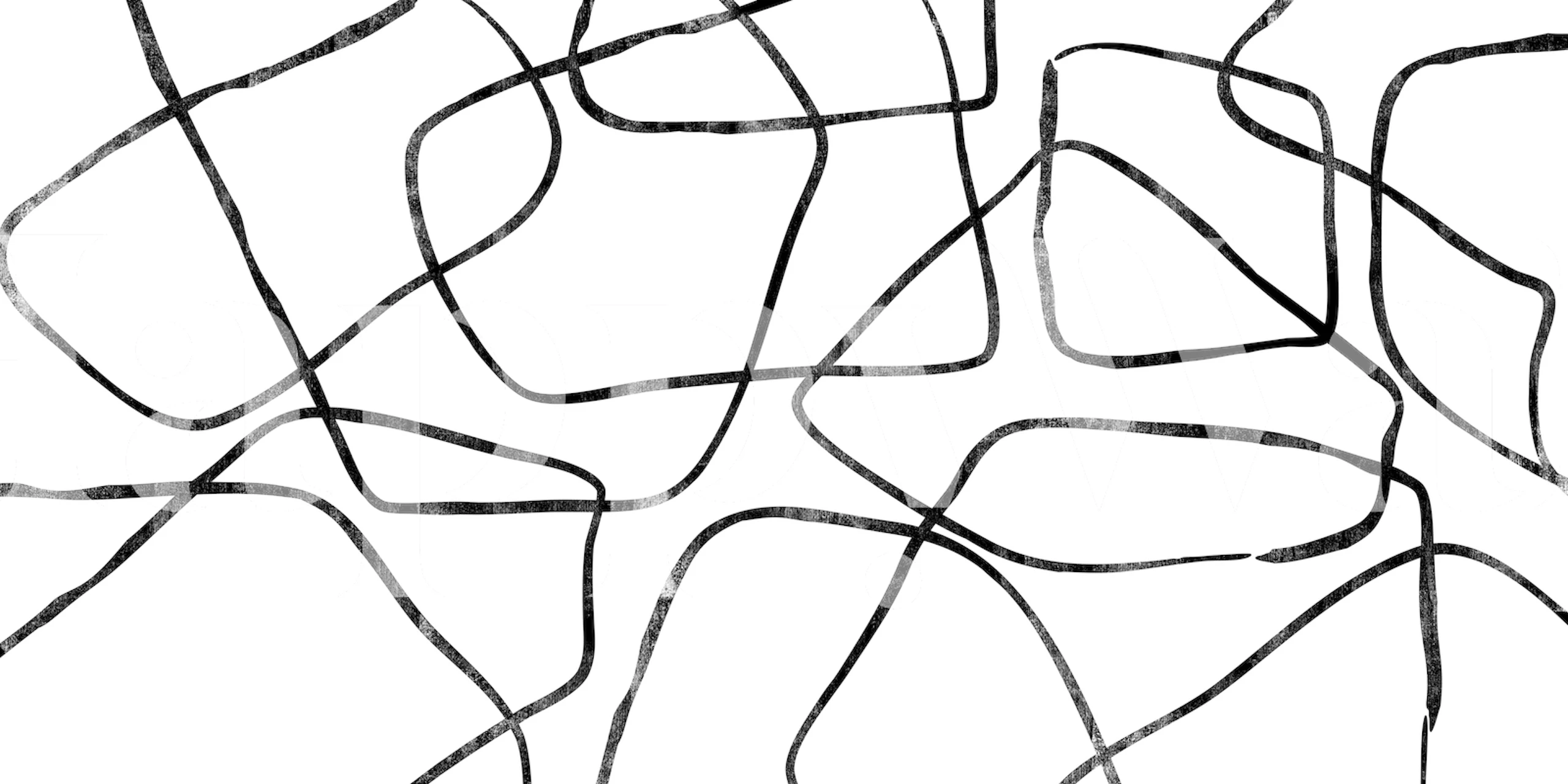 Abstract black and white line patterns on wallpaper