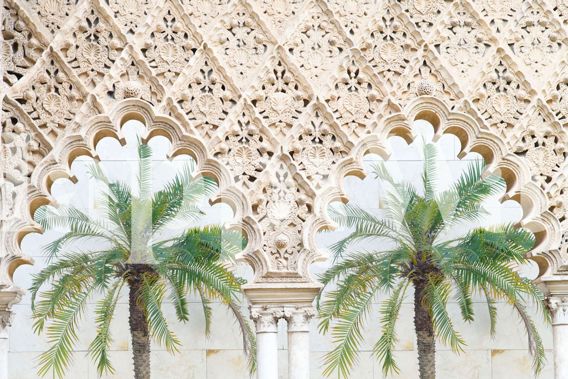 Palm Dream Arches 2 wallpaper design in a room