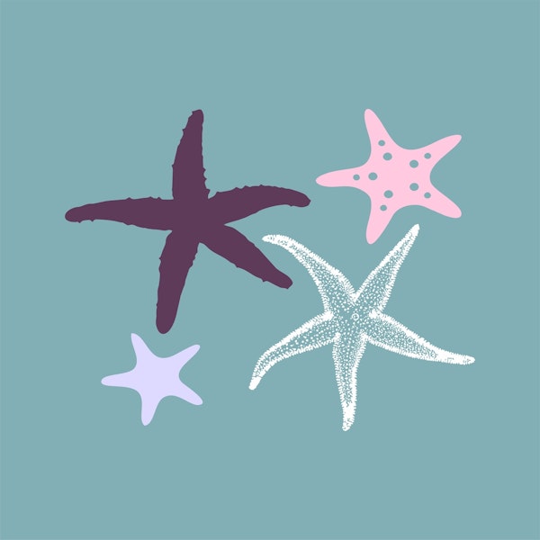Mint Green Sea stars pattern