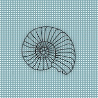 Mint green polka dotted sea shell wallpaper