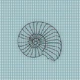 Mint green polka dotted sea shell